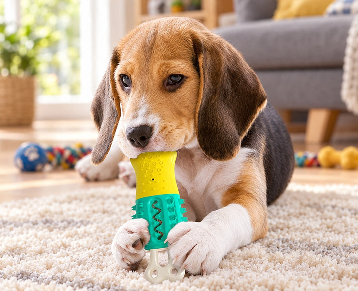 Beagle puppy chewing a yellow and teal dog toy on a cozy rug