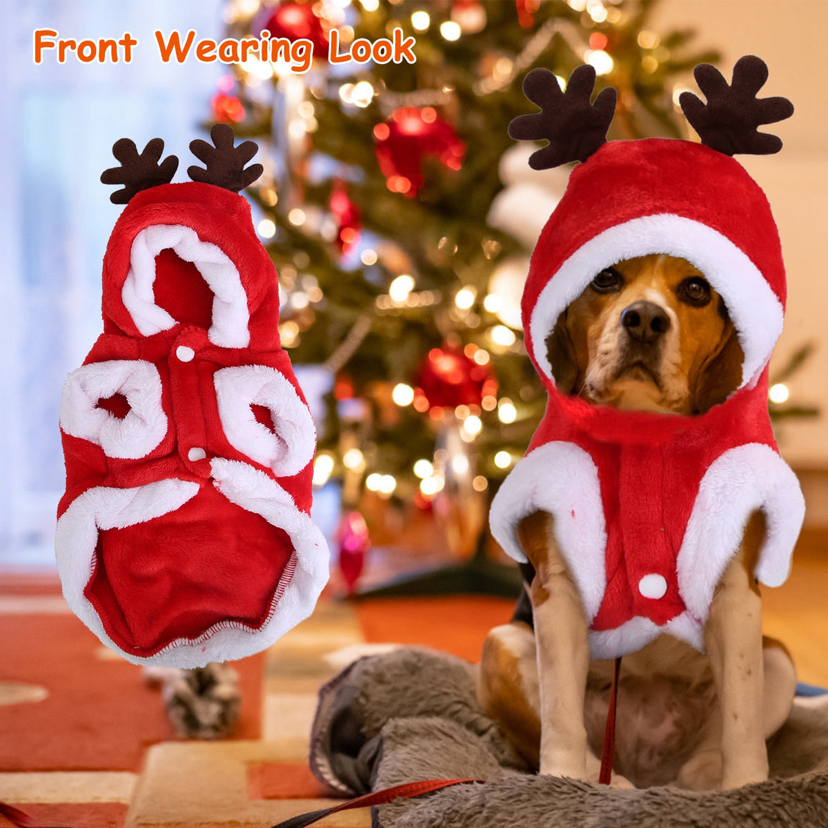 Dog wearing the Santa reindeer costume, front view