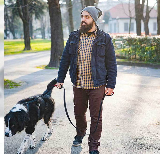 Man walking a dog on the double handle reflective leash