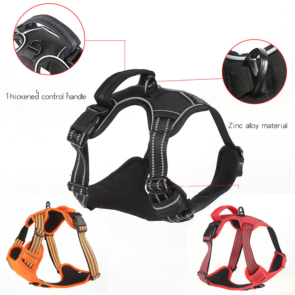 Harness details: padded handle and metal buckles