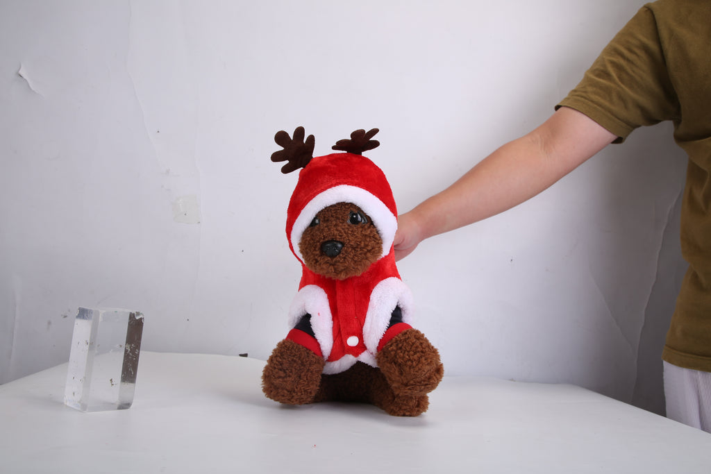 Santa reindeer costume on a small dog