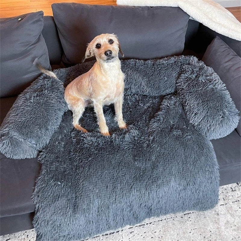 Dog standing on the charcoal grey couch cover bed