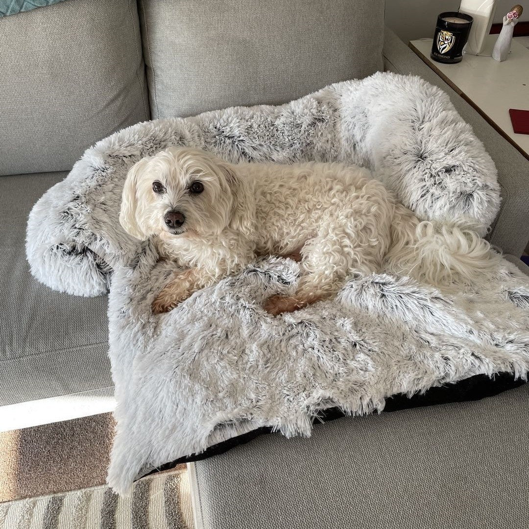 Fluffy dog relaxing on the light grey couch cover bed