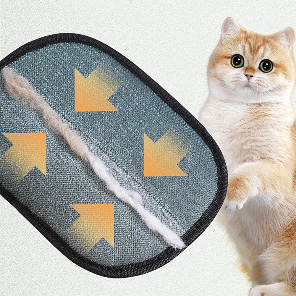 Static bristles collecting cat hair