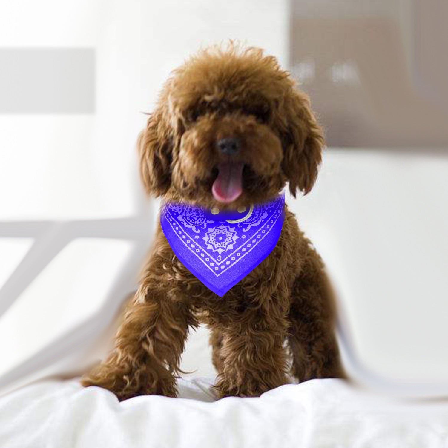 1Pc Adjustable Bandana Leather Pet Collar Triangle Scarf