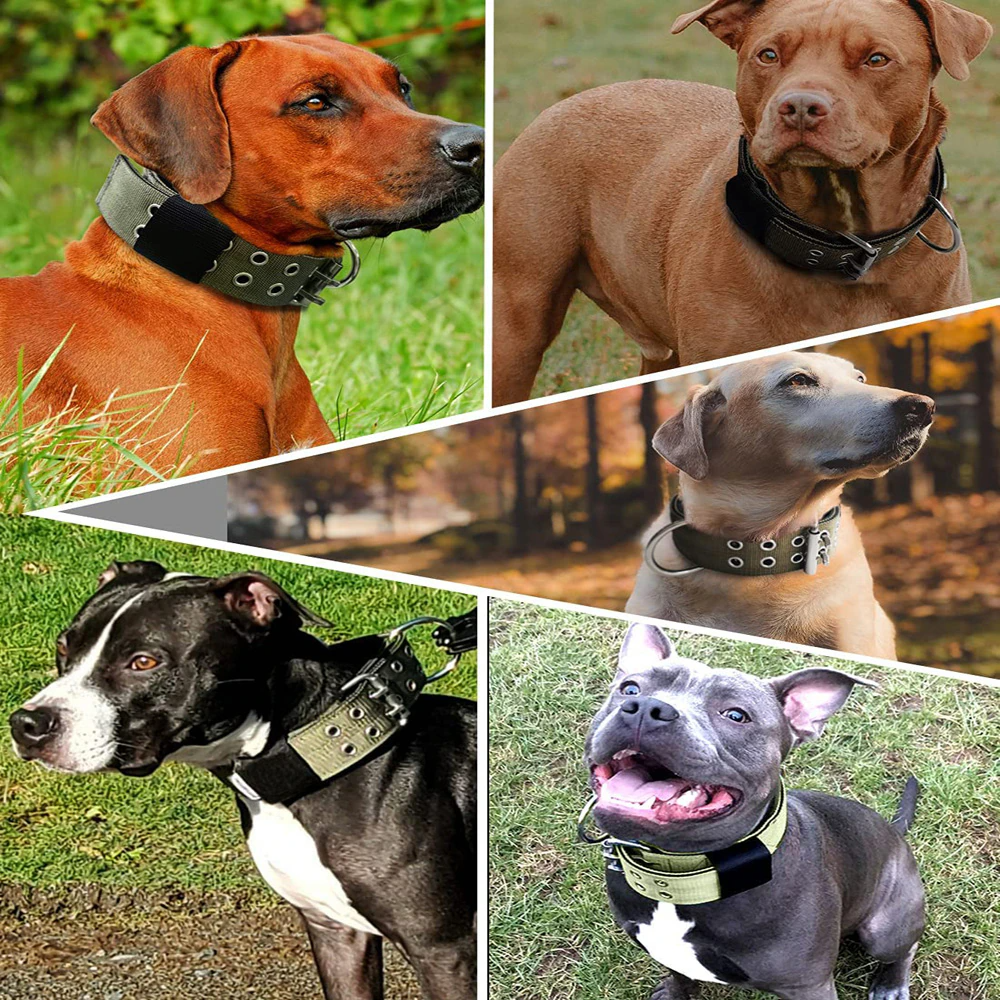 2" Wide Tactical Heavy Duty Nylon Large Dog Collar K9 Military With