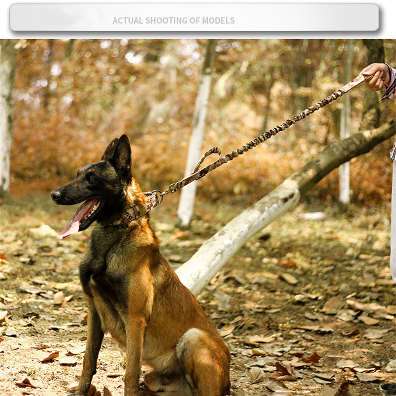 2" Wide Tactical Heavy Duty Nylon Large Dog Collar K9 Military With