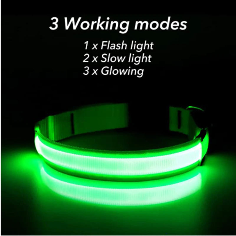 LED dog collar 3 modes: flash, slow flash and steady glow
