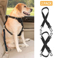 Dog buckled in with the seat belt leash, 2 pack