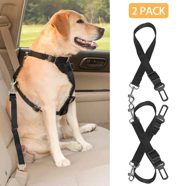 Dog buckled in with the seat belt leash, 2 pack