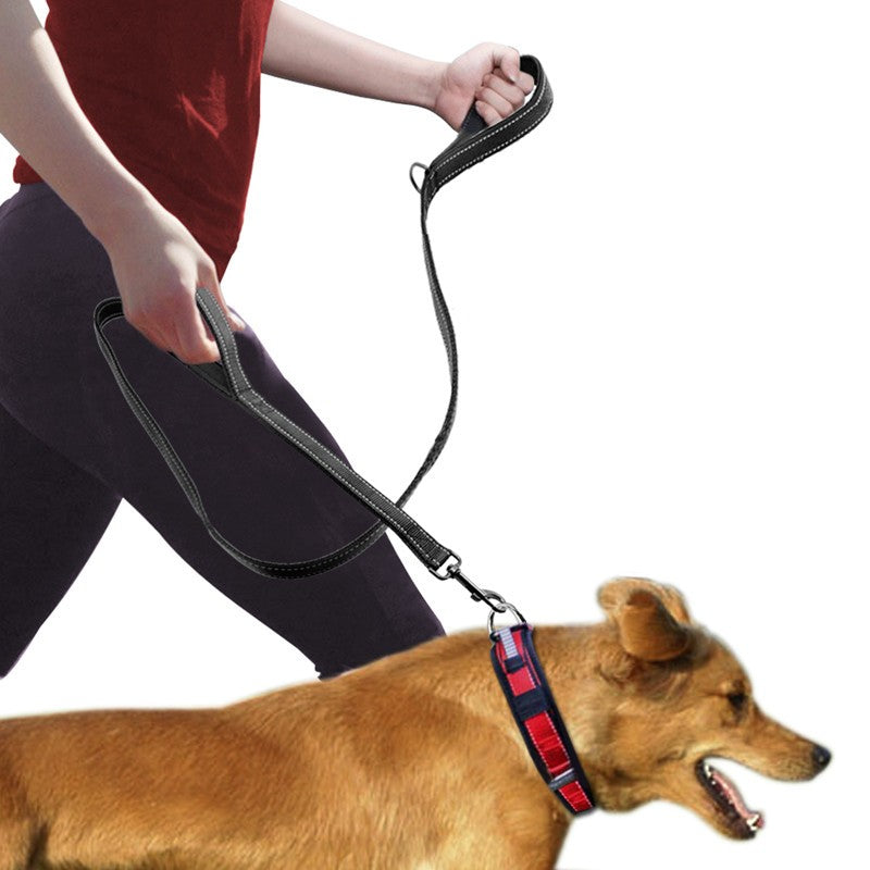 Dog walking on a double handle leash