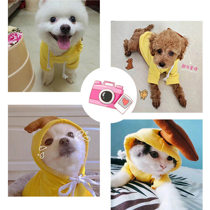 Small dogs and a cat wearing the yellow banana hoodie