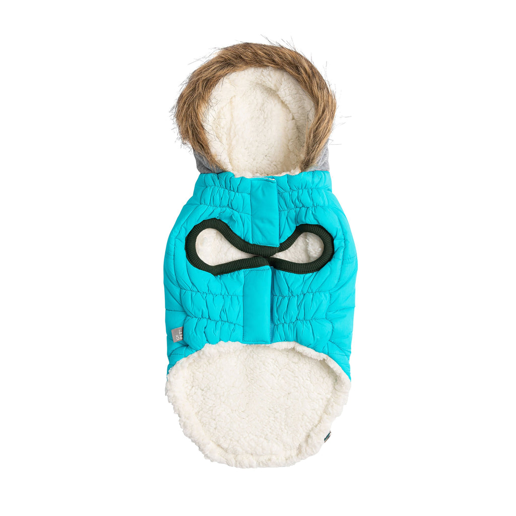 Winter Sailor Dog Parka – Aqua