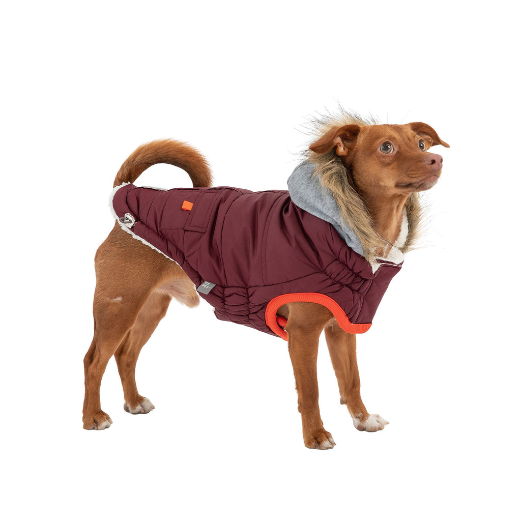 Winter Sailor Dog Parka – Burgundy