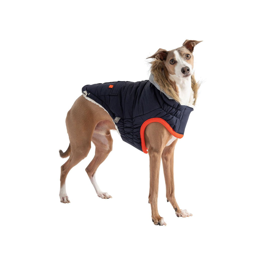 Winter Sailor Dog Parka – Navy