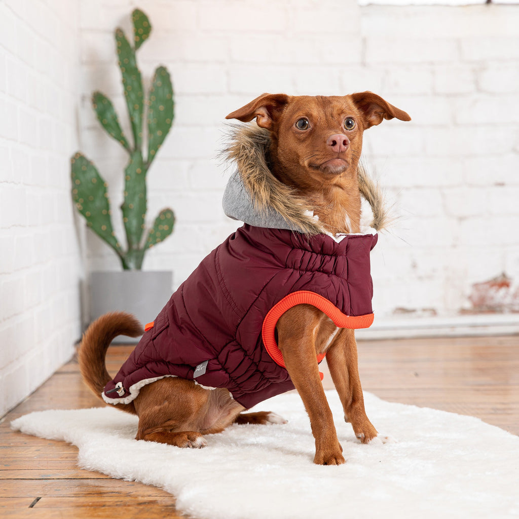 Winter Sailor Dog Parka – Burgundy