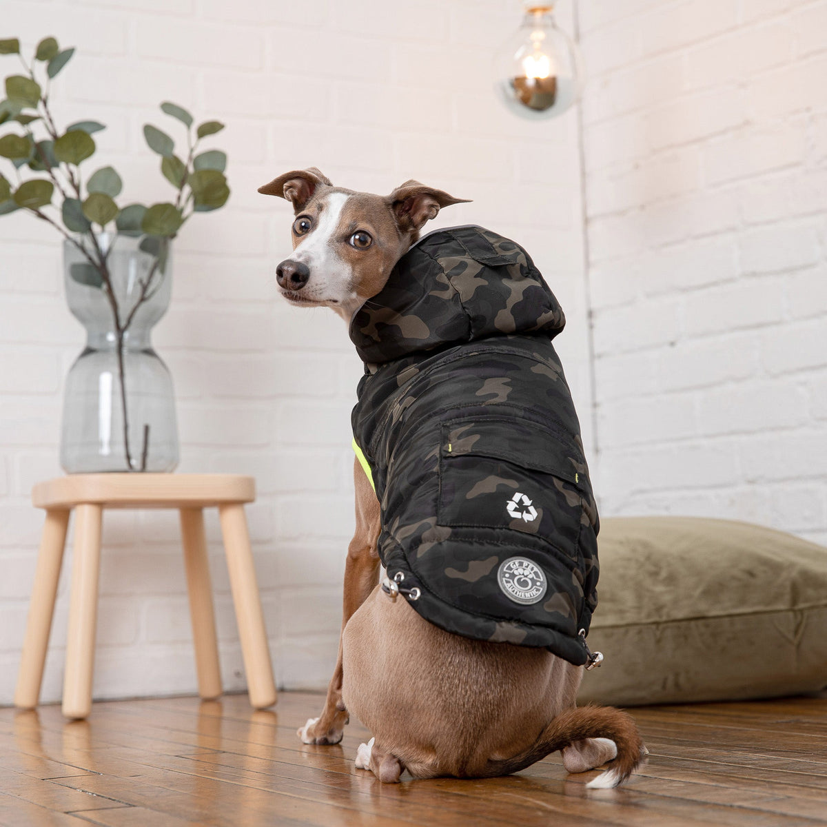 Recycled Dog Parka – Camouflage