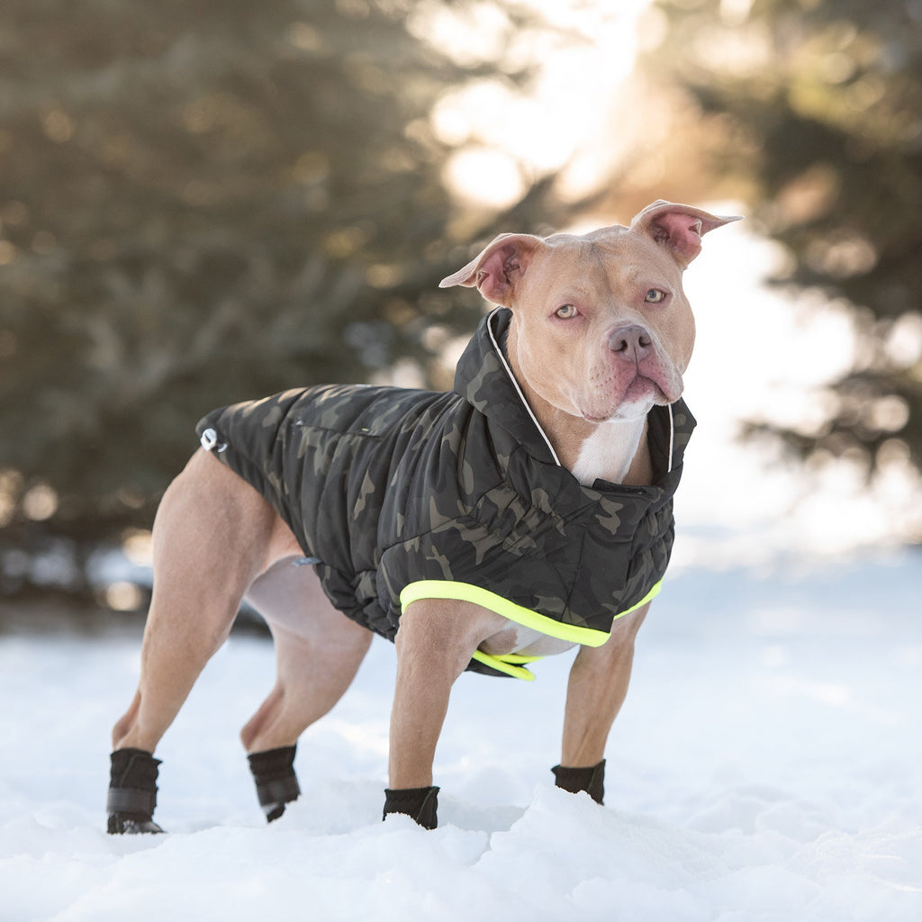 Recycled Dog Parka – Camouflage