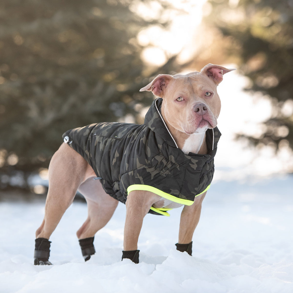 Recycled Dog Parka – Camouflage