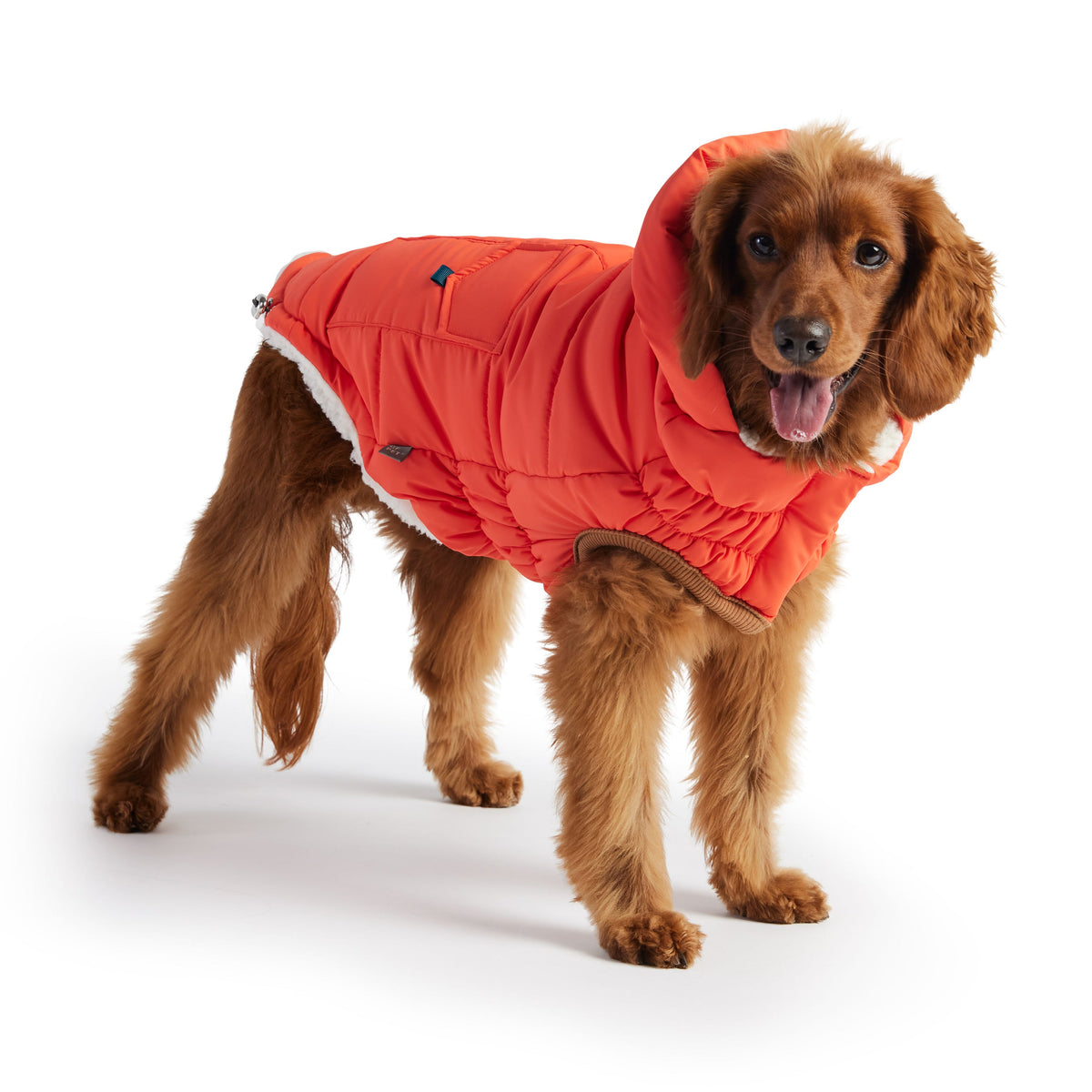 The Puff Dog Parka – Orange