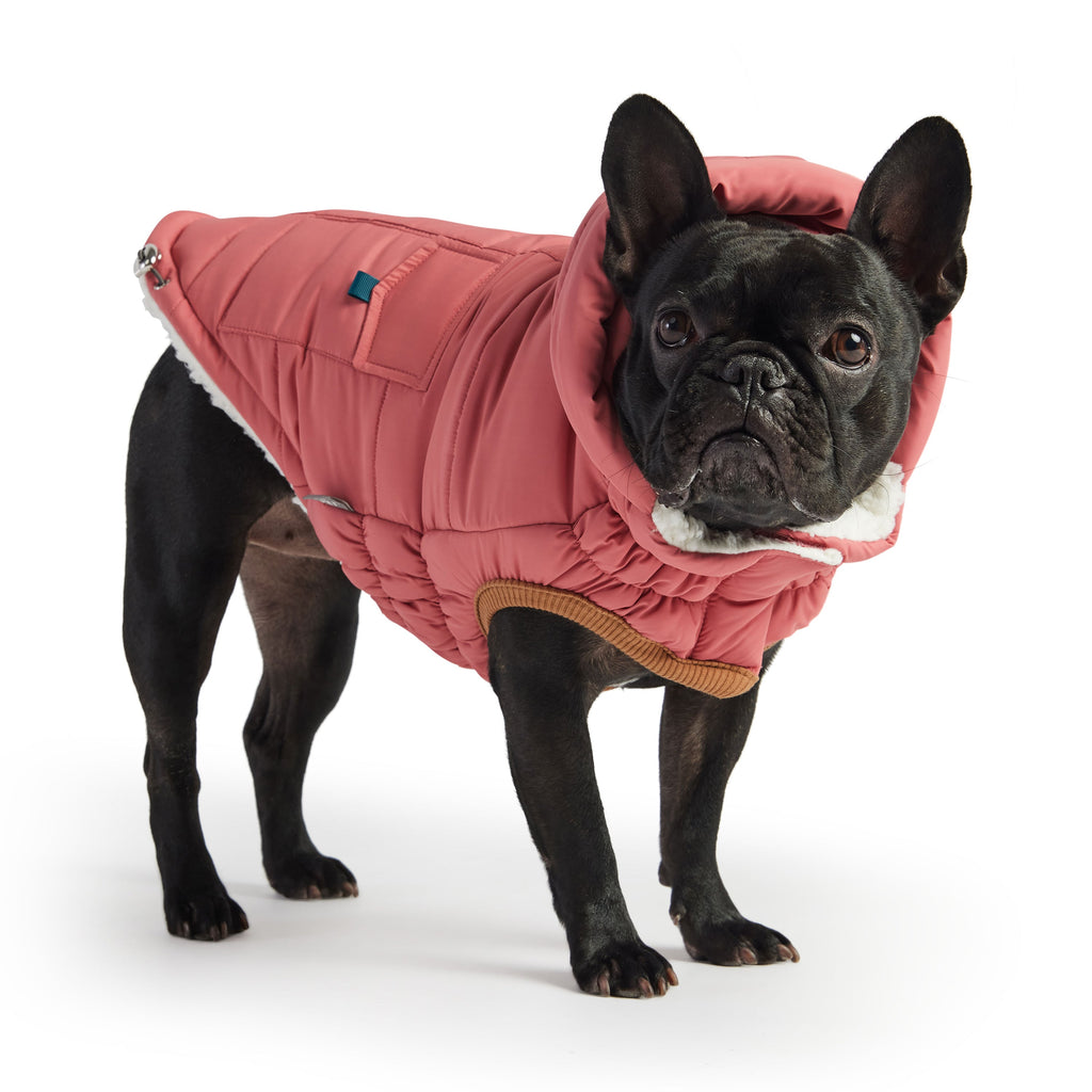 The Puff Dog Parka – Pink