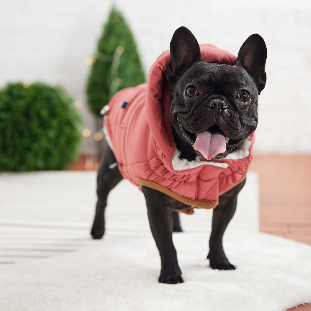 The Puff Dog Parka – Pink