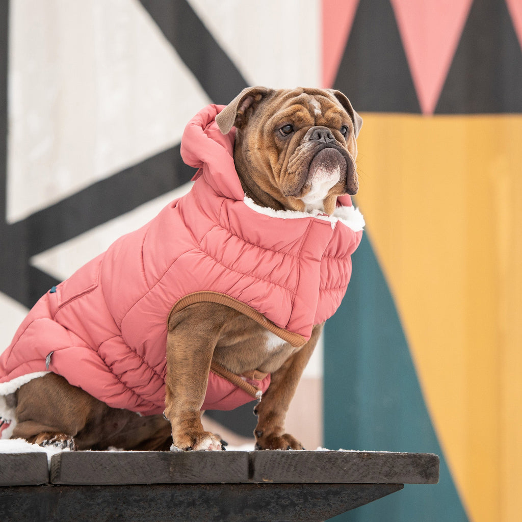 The Puff Dog Parka – Pink