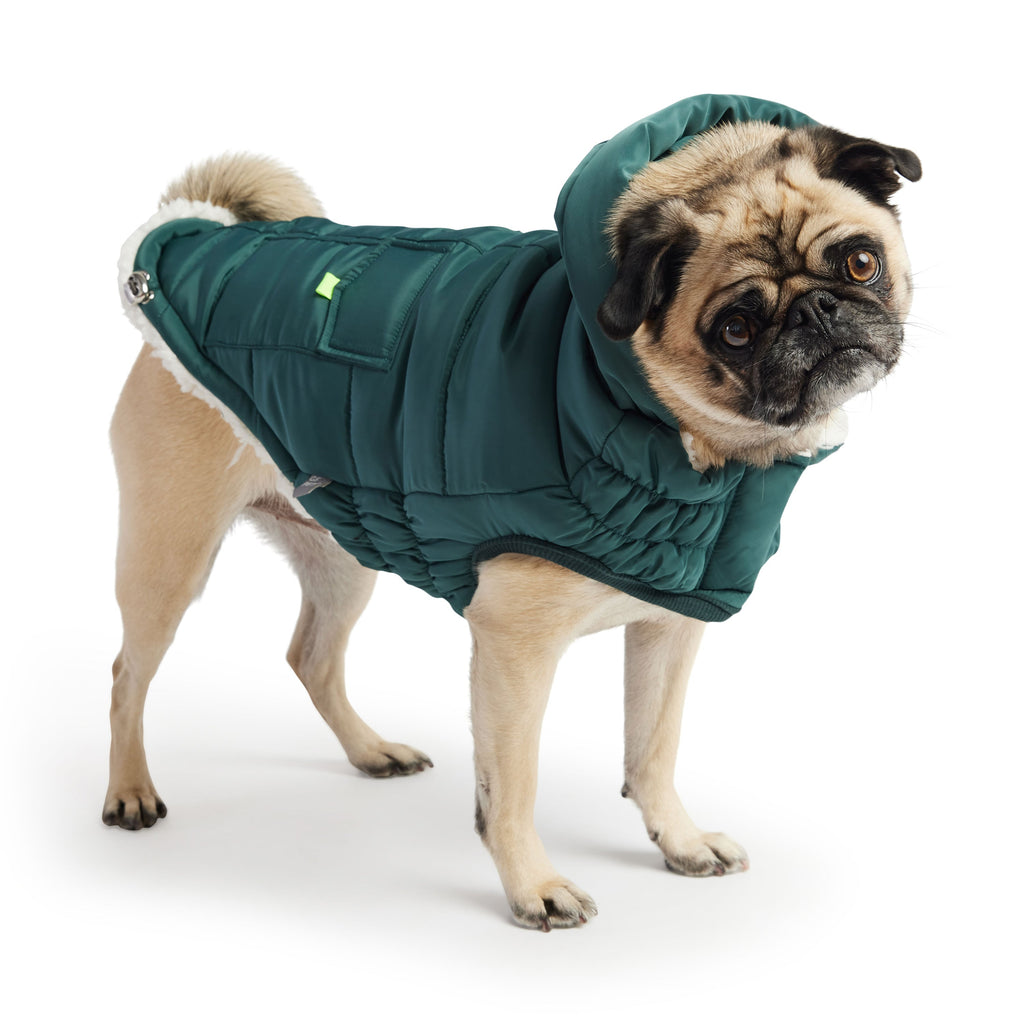 The Puff Dog Parka – Teal