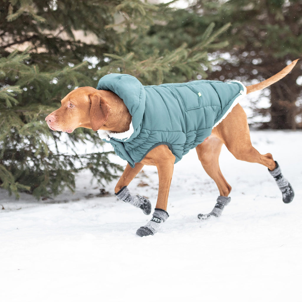 The Puff Dog Parka – Teal