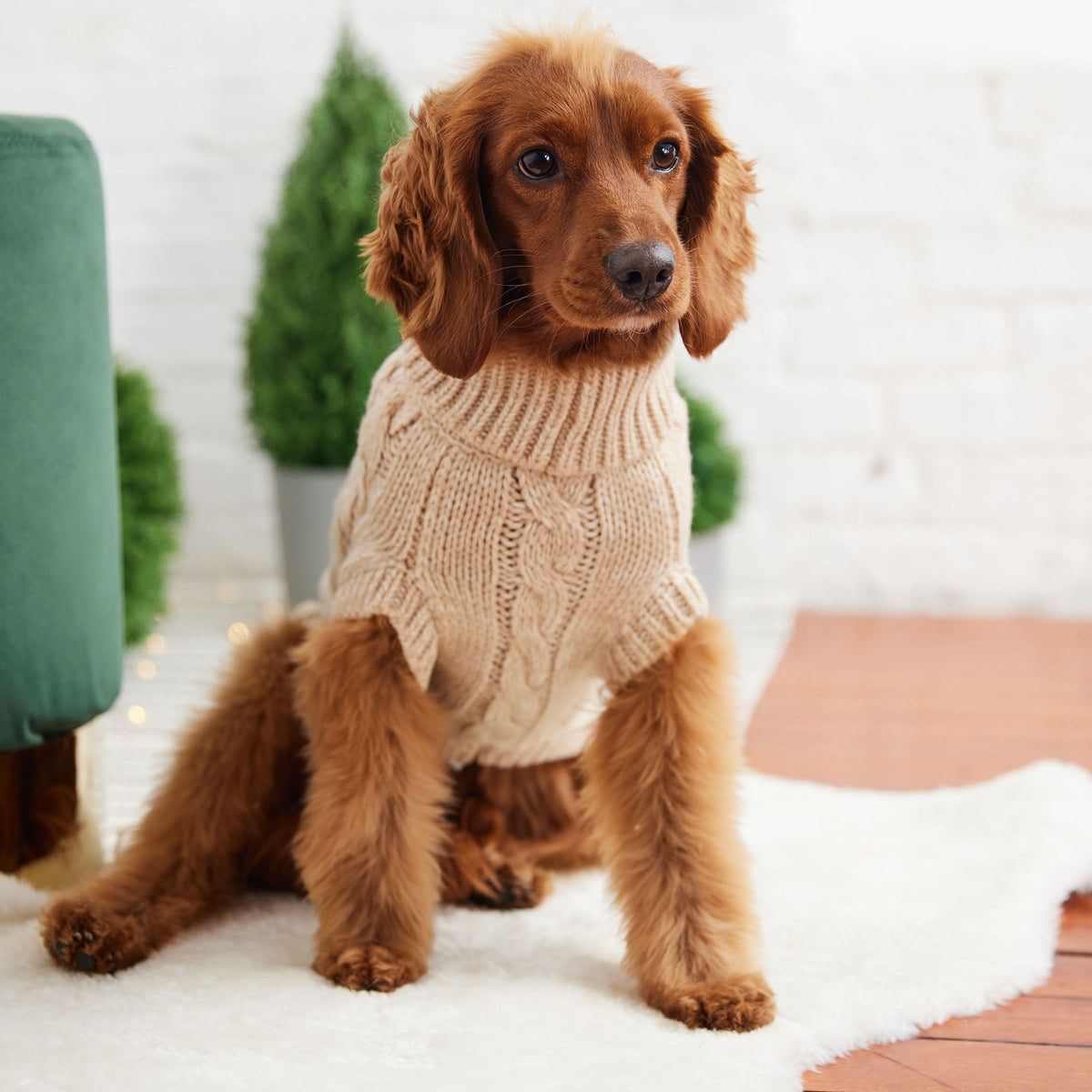 Chalet Dog Sweater – Oatmeal