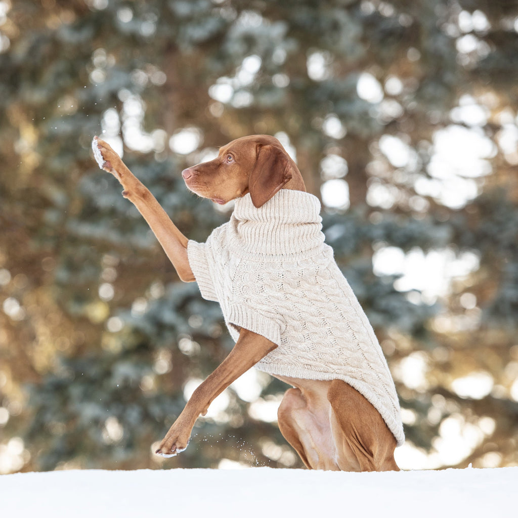 Chalet Dog Sweater – Oatmeal