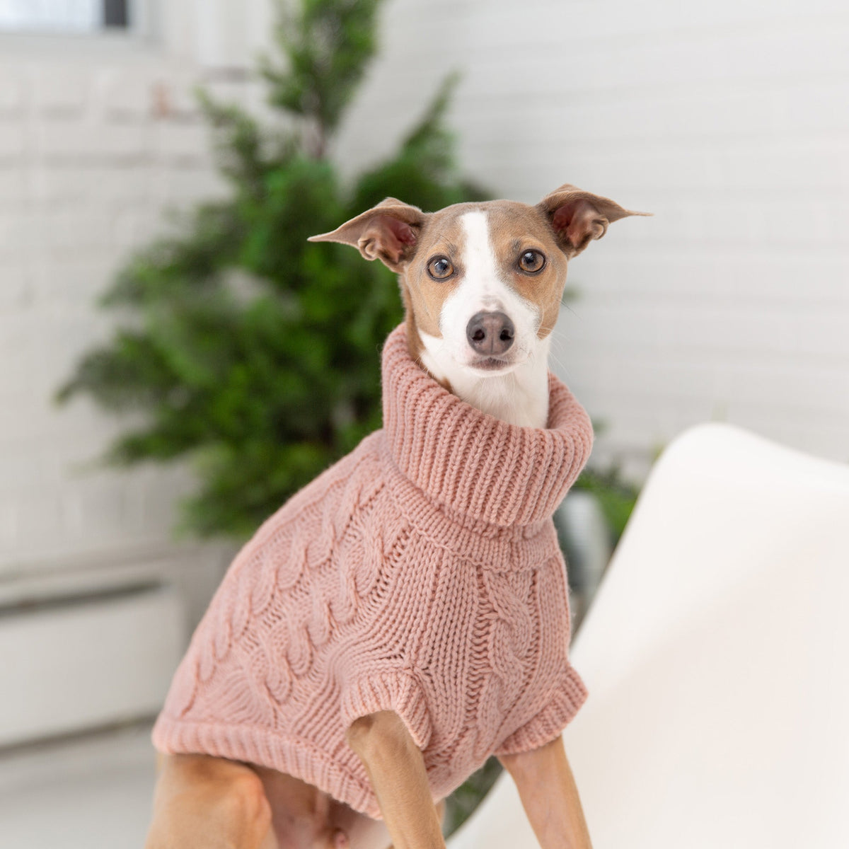 Chalet Dog Sweater – Pink