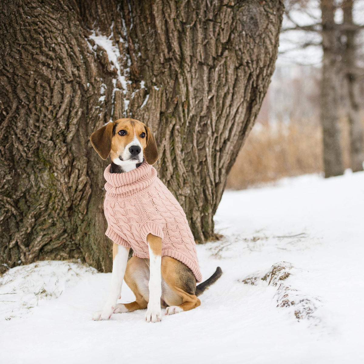 Chalet Dog Sweater – Pink