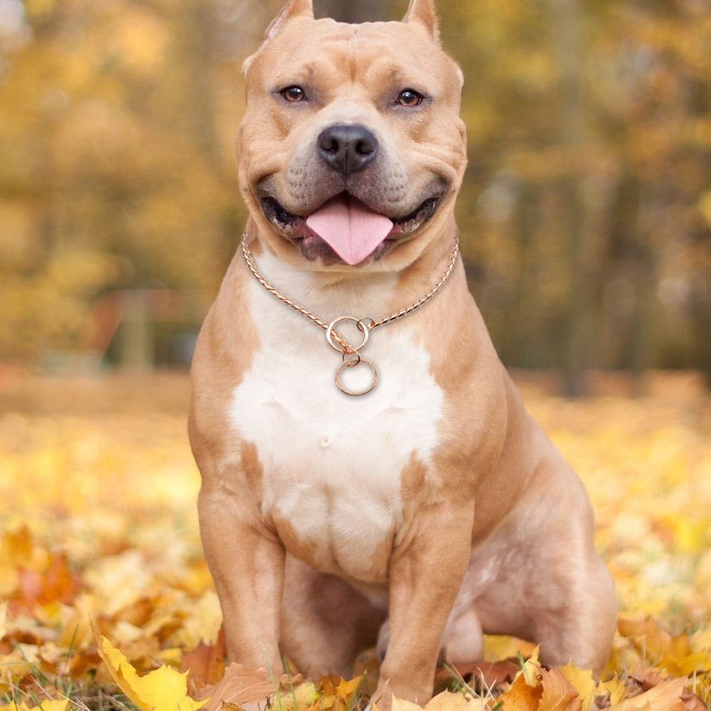 High Quality Dog Choker Snake Chain Dog Training