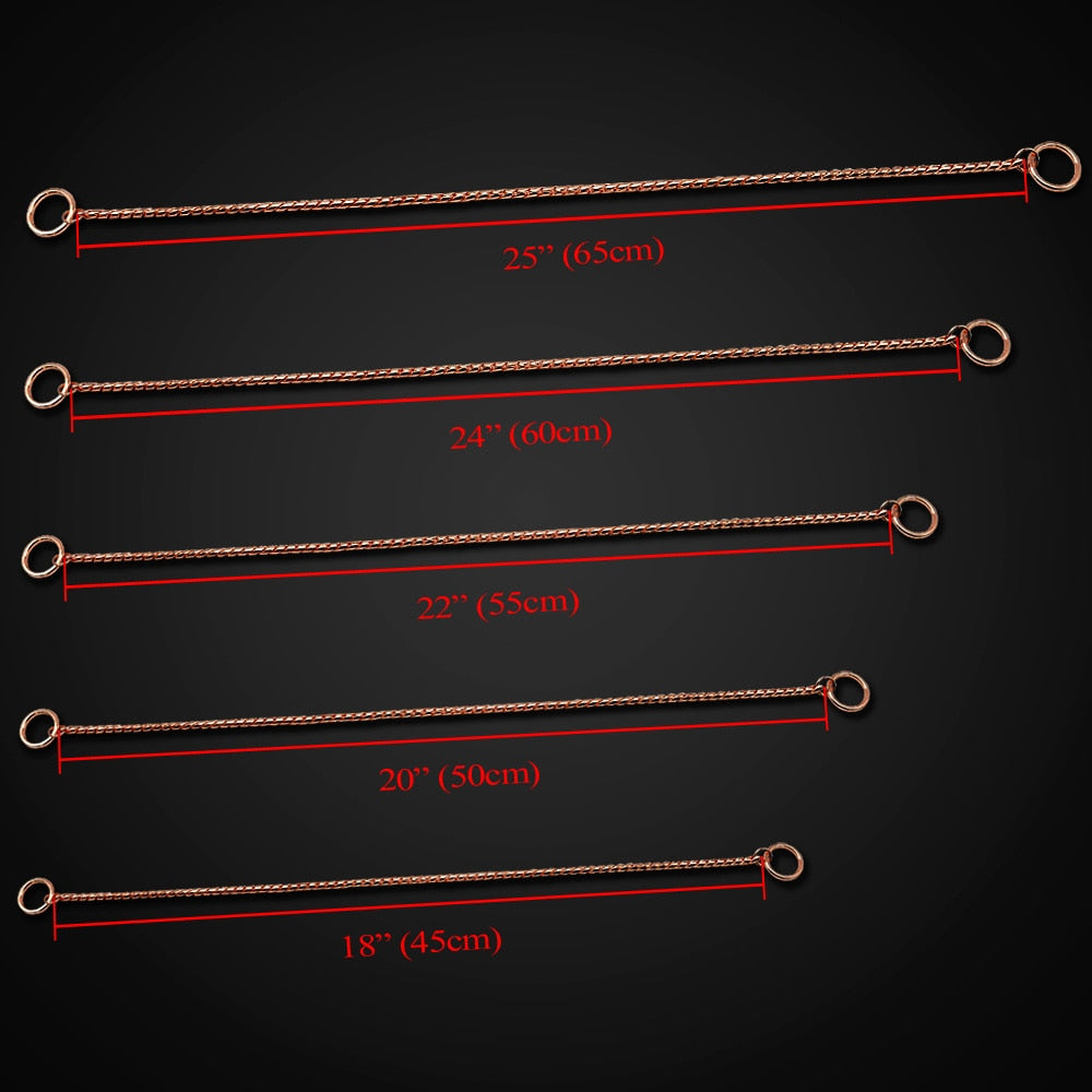 High Quality Dog Choker Snake Chain Dog Training
