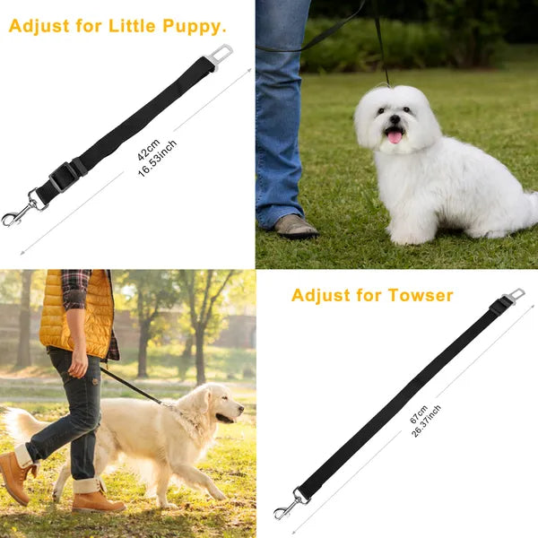 Adjusts for small and large dogs