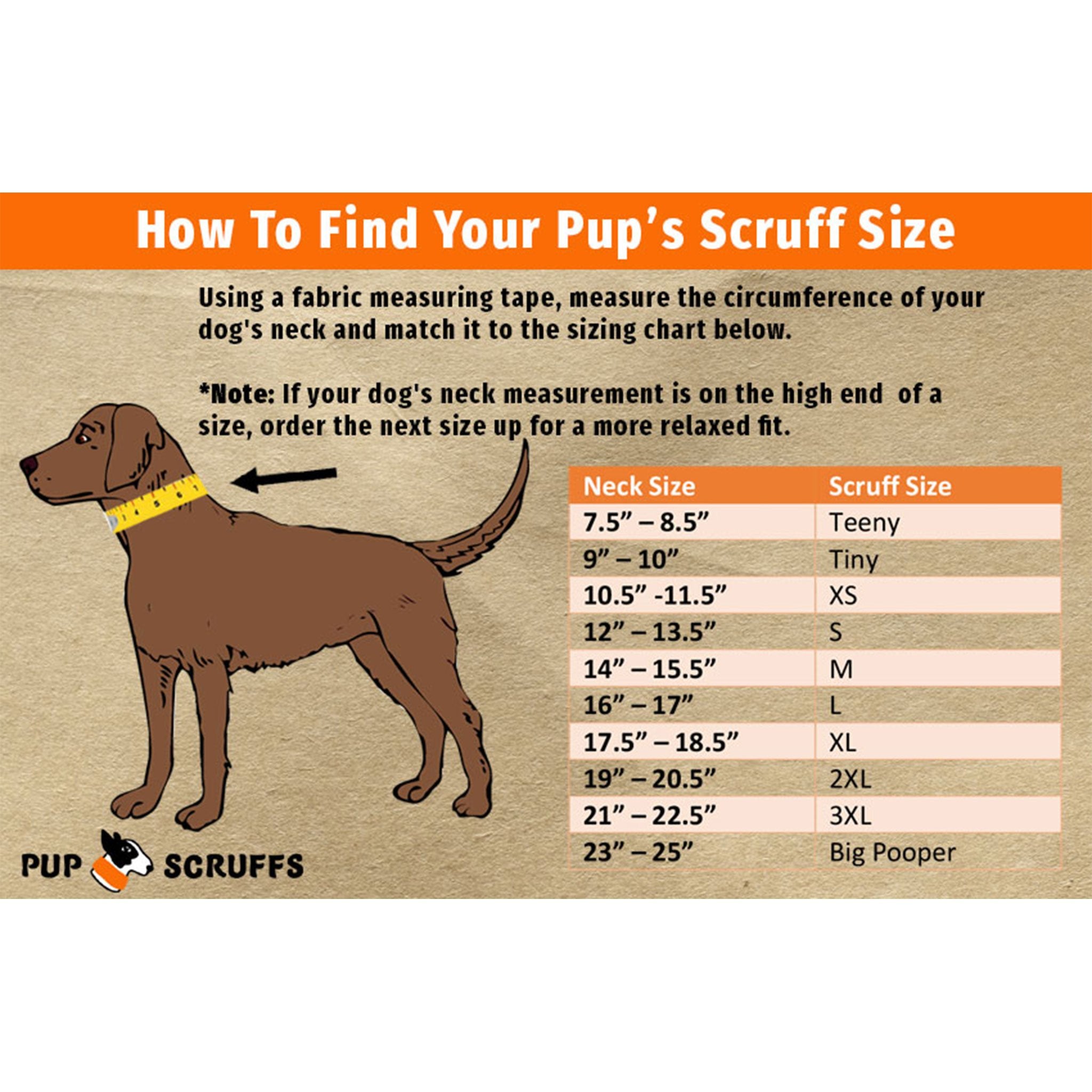 Orange Pup Scruff