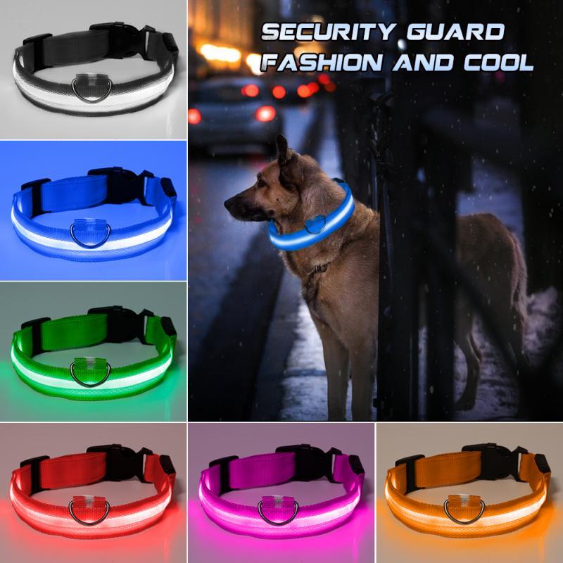 LED Dog Collar Anti-Lost & High Visibility Safety Collar for Dogs & Puppies