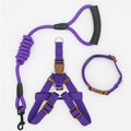 Dog leash Traction Rope Pet harness for small and large dog Pull